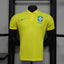 Joueur domicile Brésil 2024