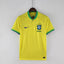 Brazil 2022 World Cup home