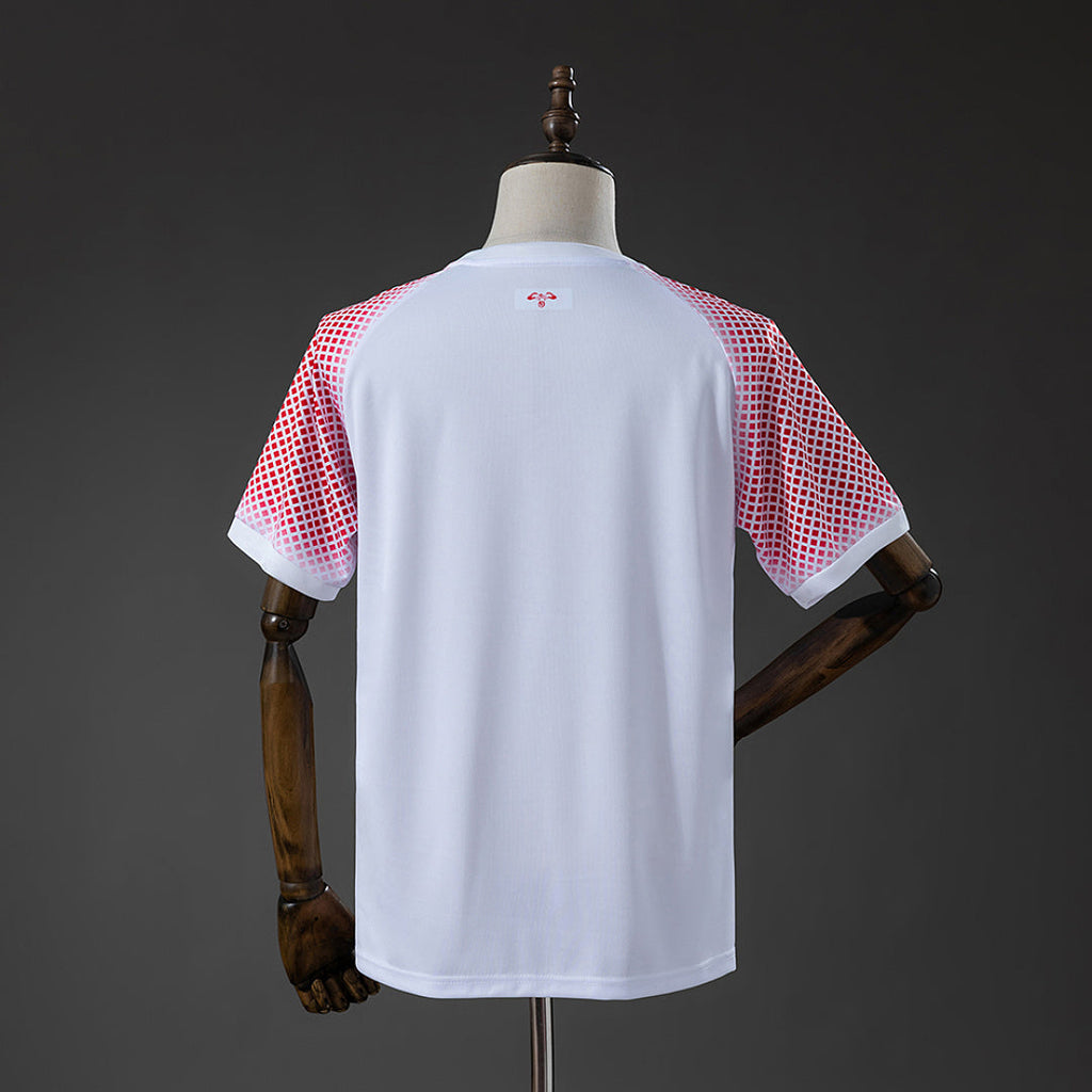 Fan de la Coupe du Monde 2026 à domicile en Jordanie