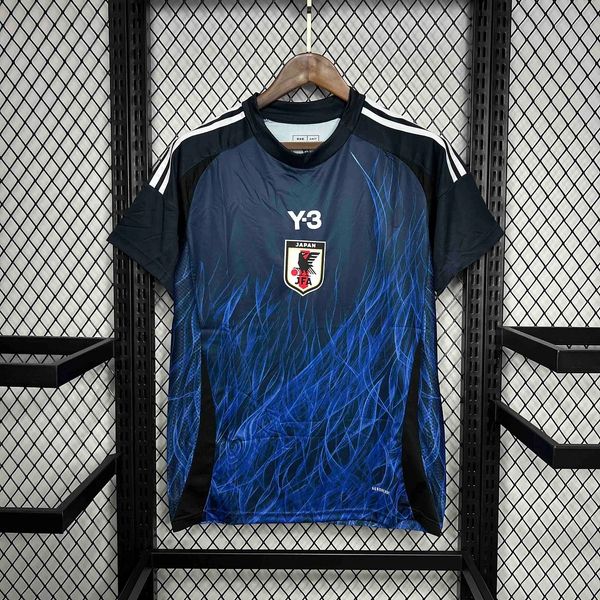 Japan 2024 home