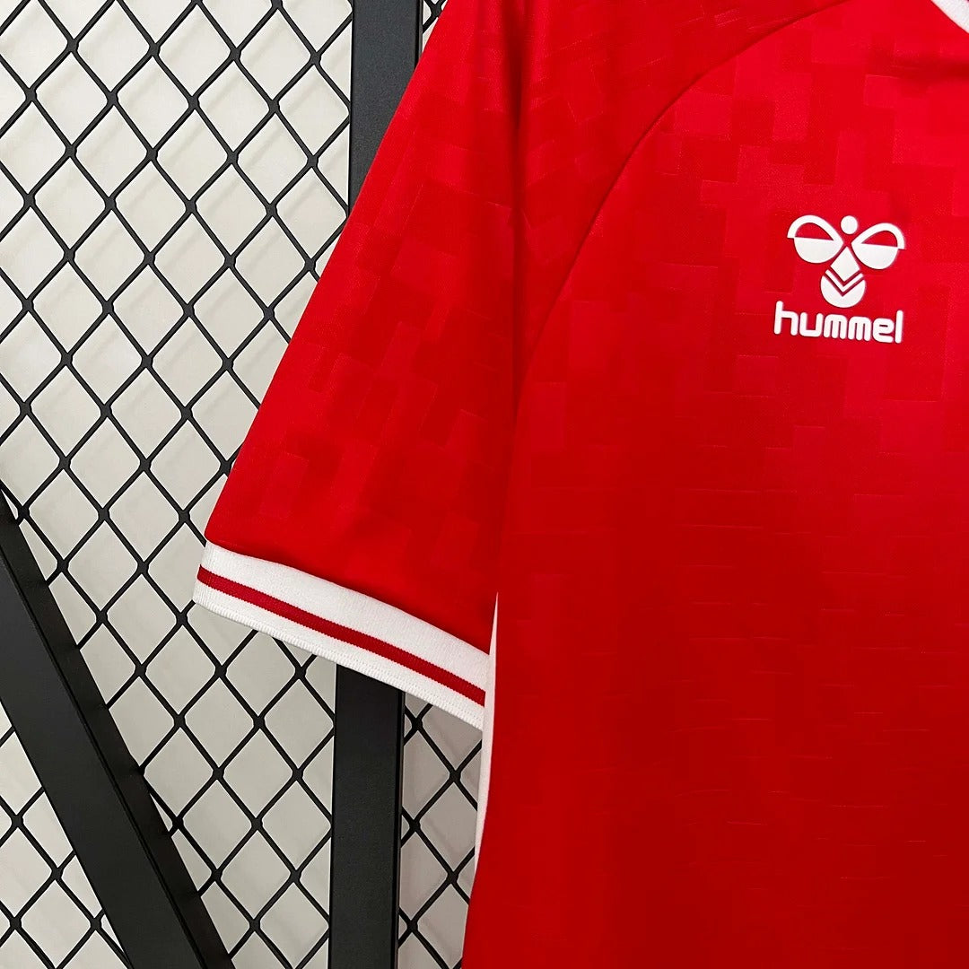 Denmark 2024 home