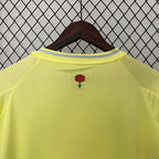 Spain 2024 away