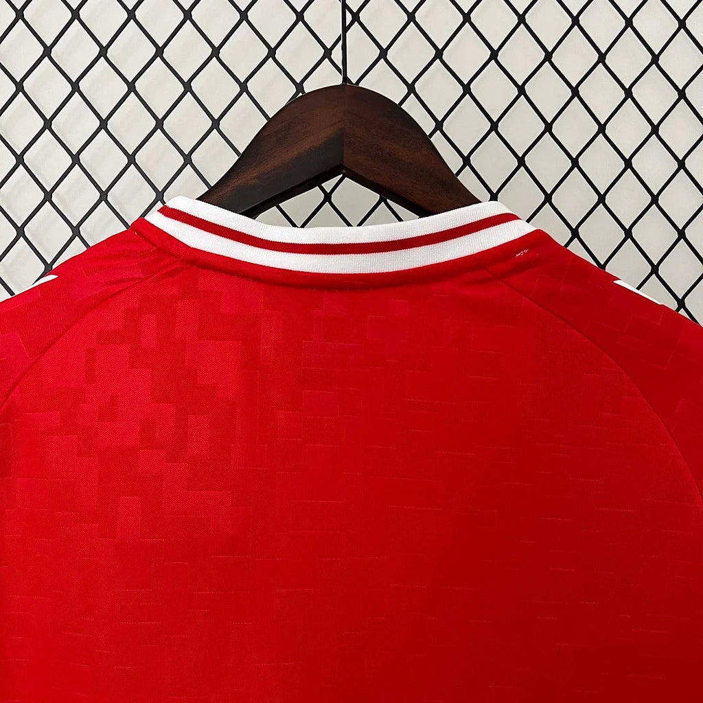 Denmark 2024 home