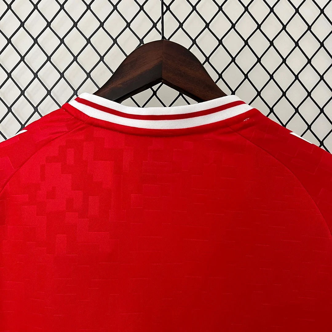 Denmark 2024 home