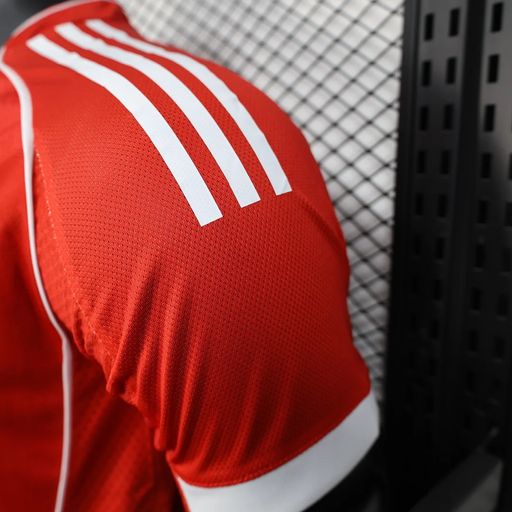 Bayern München 2025-2026 home player