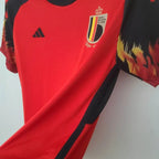Belgique domicile 2022