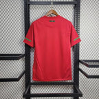 Retro Portugal 2010 home