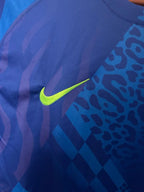 Brazil 2025-2026 away