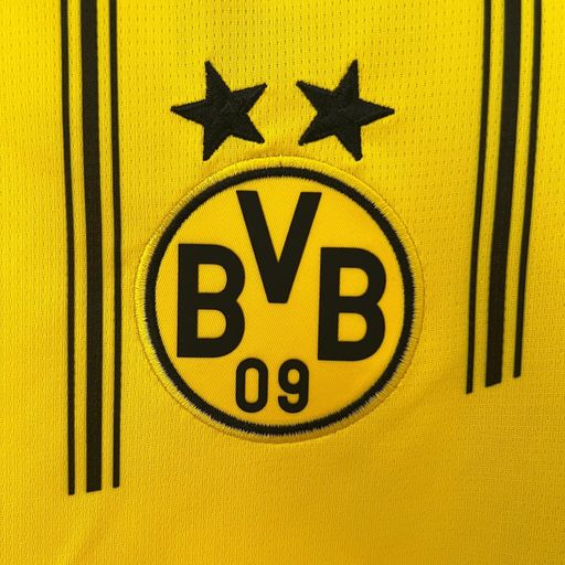 BVB Dortmund 2024-2025 home