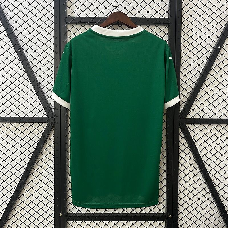 Domicile Palmeiras 2025-2026