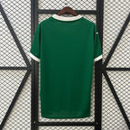 Domicile Palmeiras 2025-2026