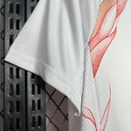 Japan 2024 away