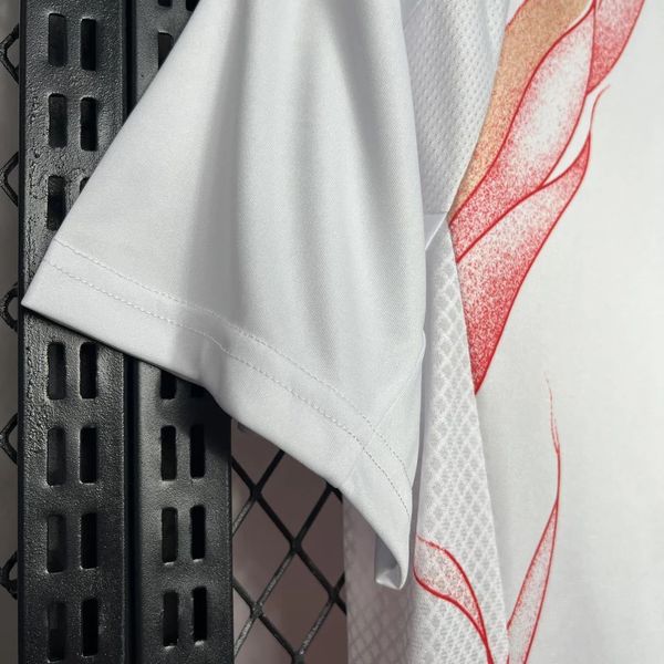 Japan 2024 away