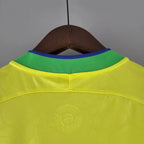 Brazil 2022 World Cup home