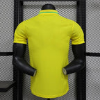 Joueur domicile Brésil 2024