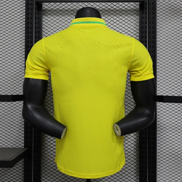 Joueur domicile Brésil 2024