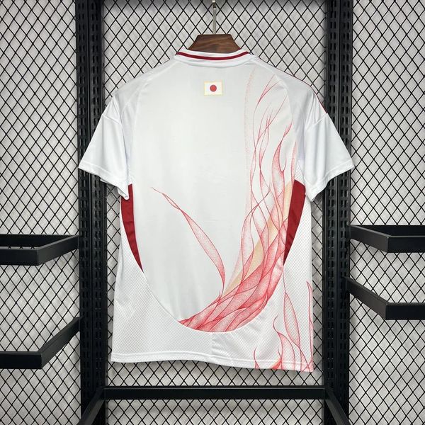 Japan 2024 away