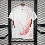 Japan 2024 away