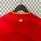 Spain 2024 home