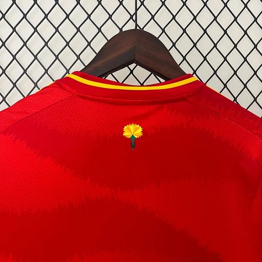 Spain 2024 home