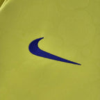 Brazil 2022 World Cup home