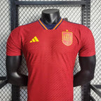 Spain 2022 FIFA World Cup home player