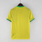 Brazil 2022 World Cup home