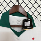 Palmeiras 2024-2025 away Fan