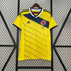 Retro Colombia 2014 home