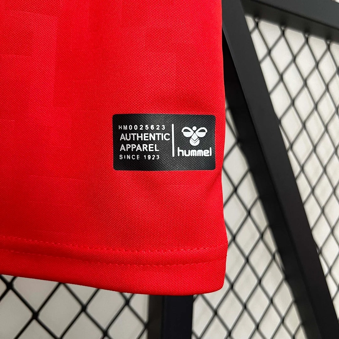 Denmark 2024 home