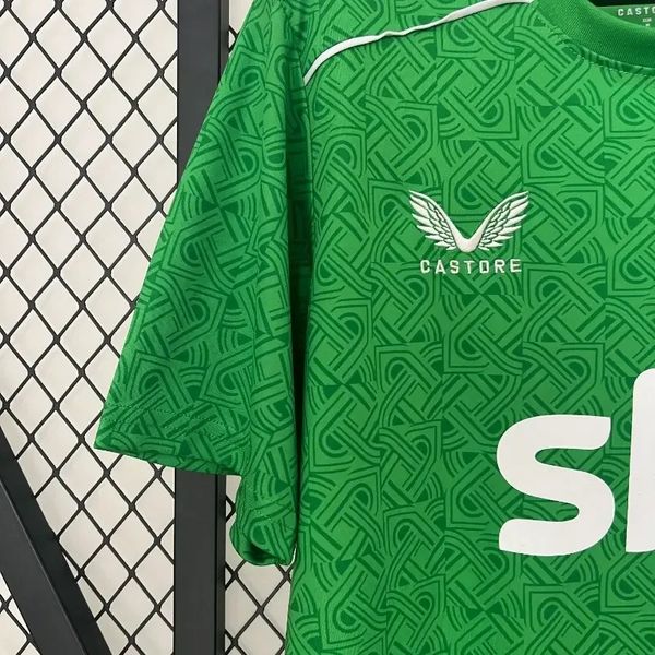 Ireland 2024 home