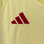 Spain 2024 away