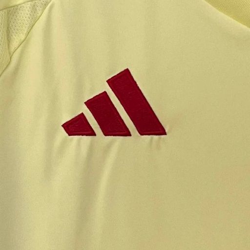 Spain 2024 away