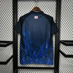 Japan 2024 home