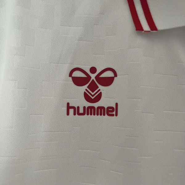 Denmark 2024 away