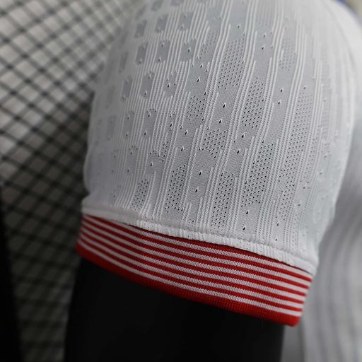 USA 2024 home player