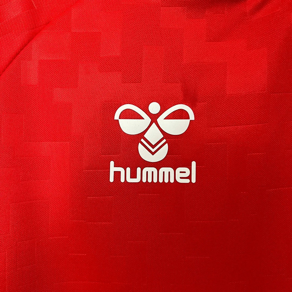 Denmark 2024 home