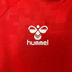 Denmark 2024 home