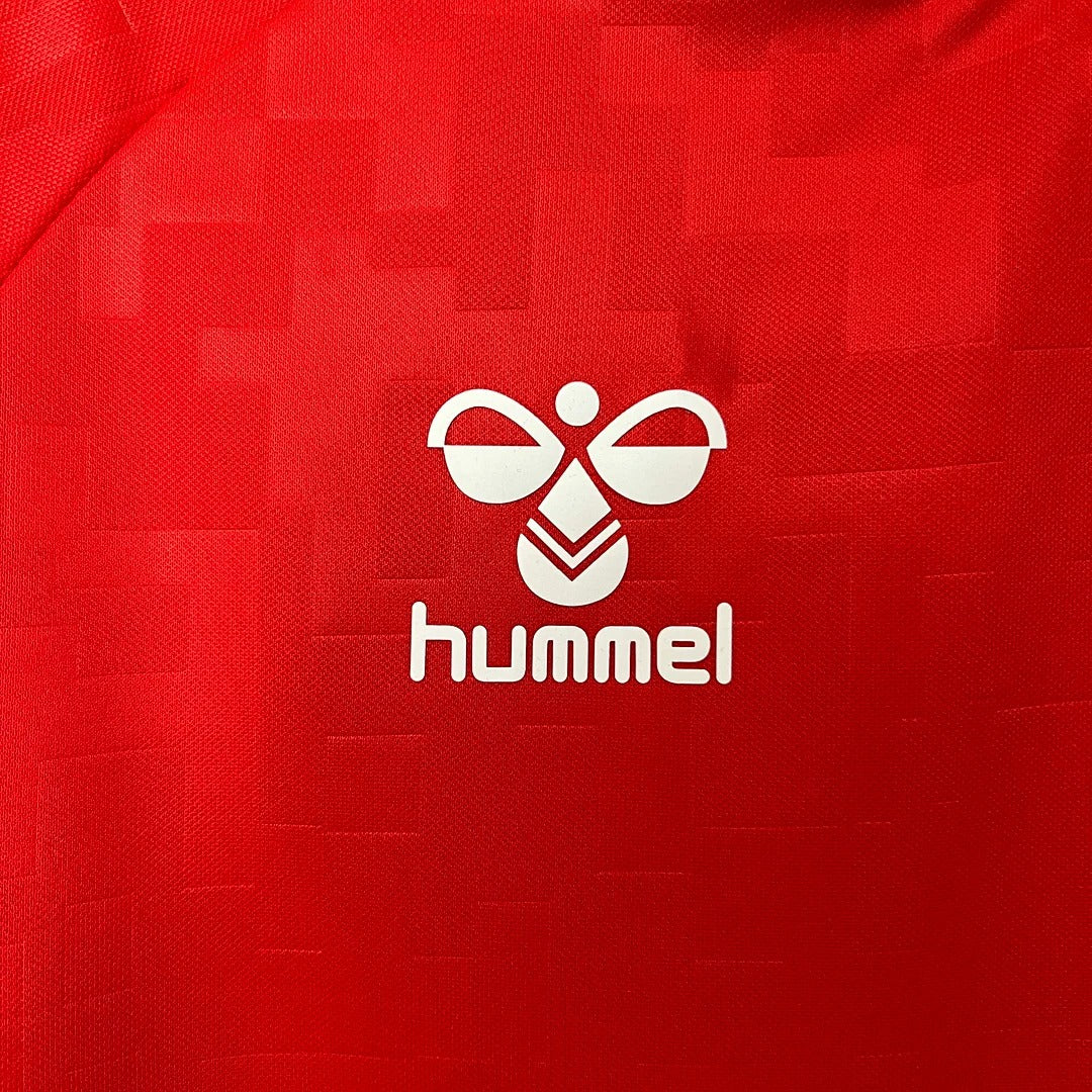 Denmark 2024 home