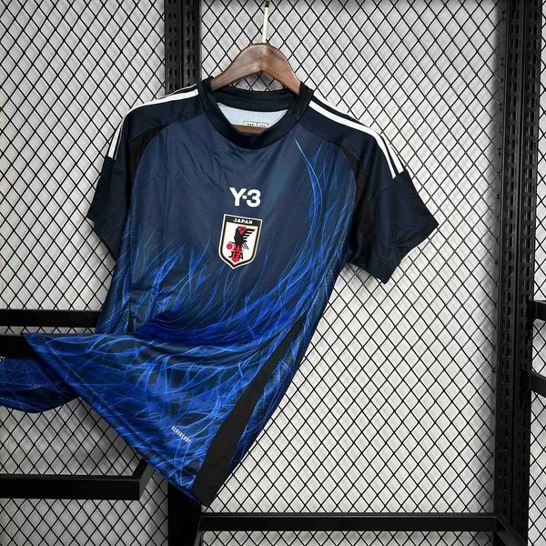 Japan 2024 home