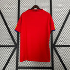 Retro Spain 2010 home