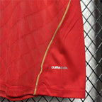Retro Liverpool FC 2010 home