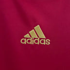 Retro Spain 2008 home