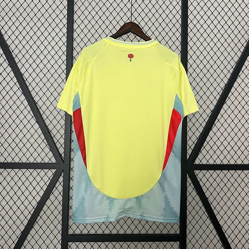 Spain 2024 away