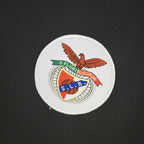 Retro SL Benfica 1973 - 1974 away - WCFOOTBALLSUIT