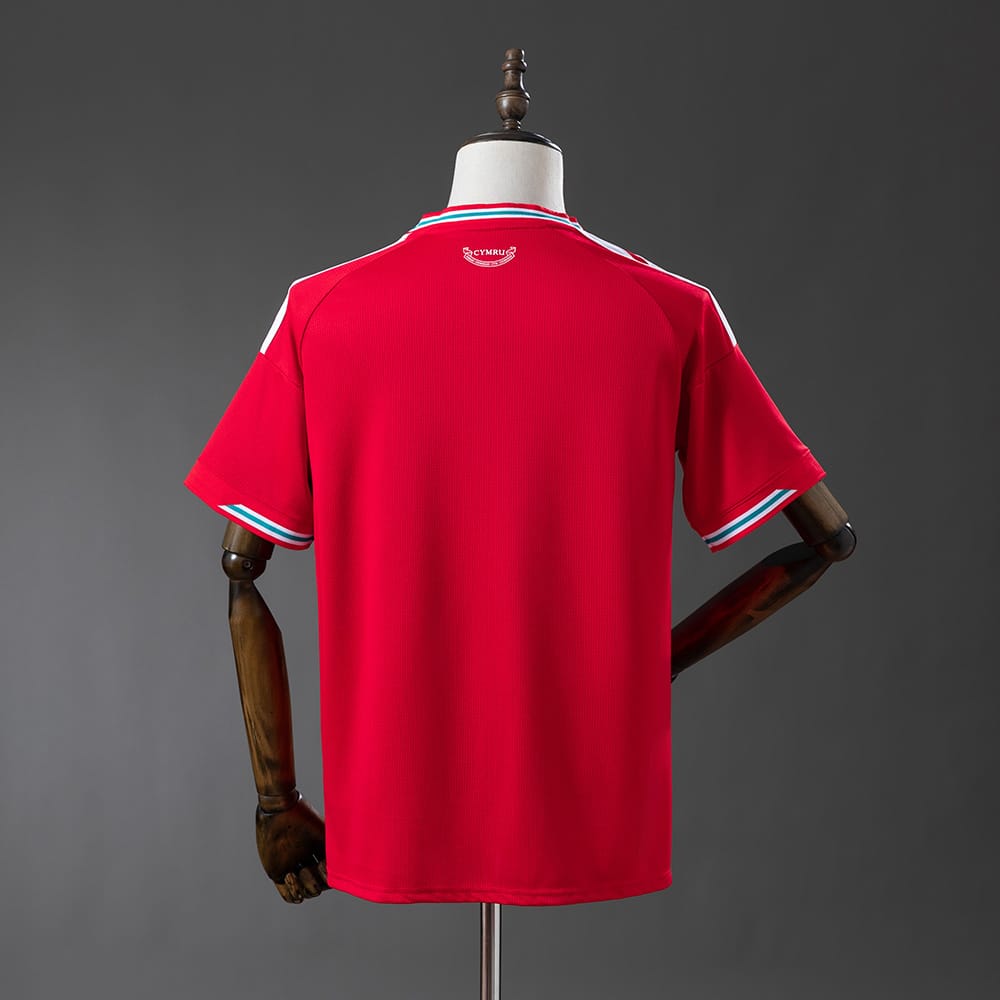 Wales 2026 Home Fan Secondary image